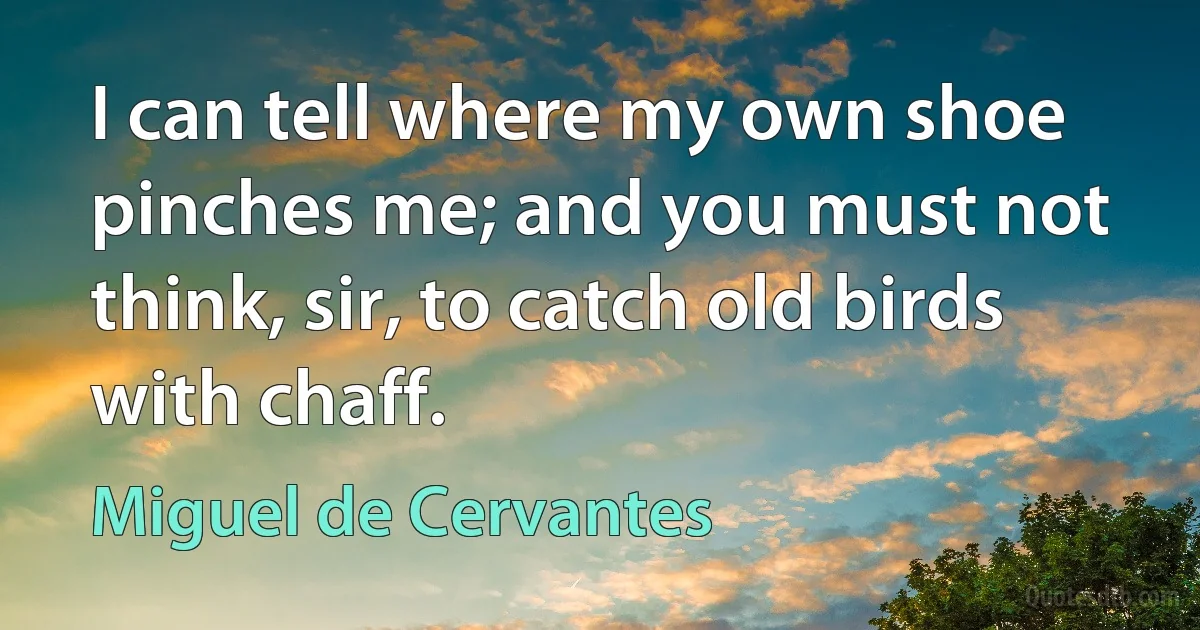 I can tell where my own shoe pinches me; and you must not think, sir, to catch old birds with chaff. (Miguel de Cervantes)