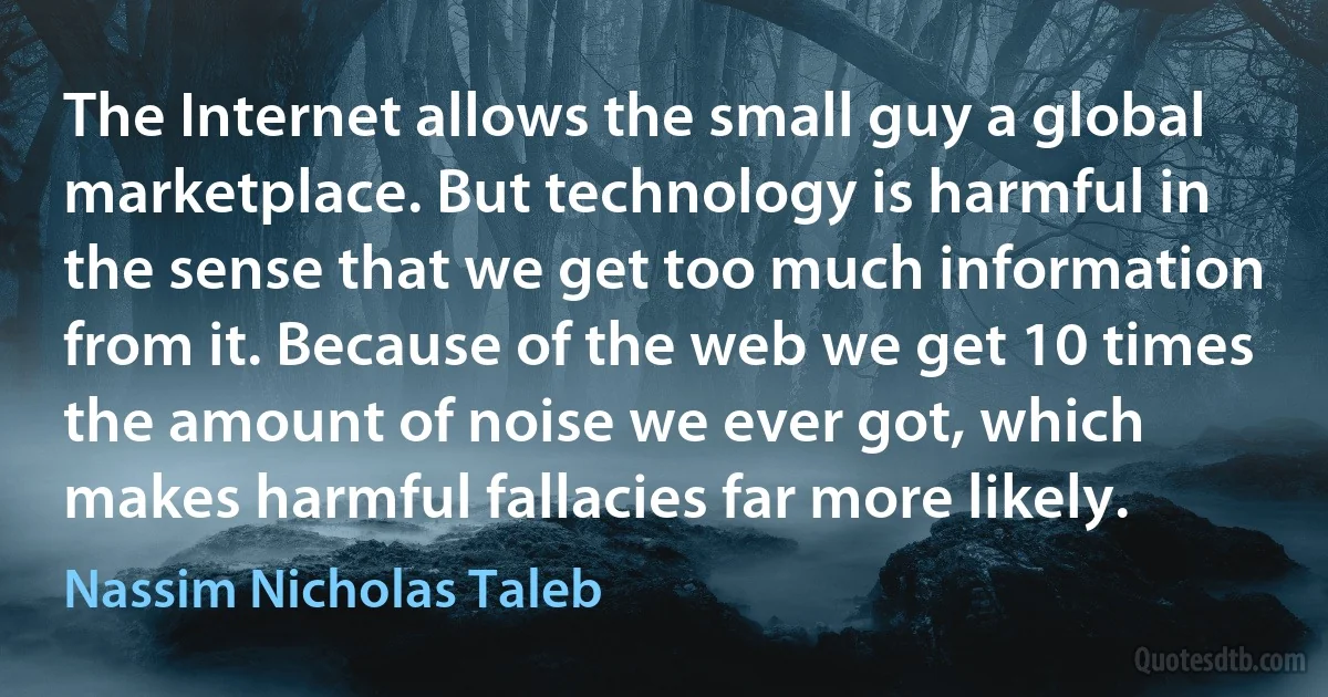 The Internet allows the small guy a global marketplace. But technology is harmful in the sense that we get too much information from it. Because of the web we get 10 times the amount of noise we ever got, which makes harmful fallacies far more likely. (Nassim Nicholas Taleb)