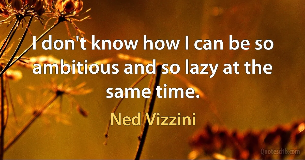 I don't know how I can be so ambitious and so lazy at the same time. (Ned Vizzini)