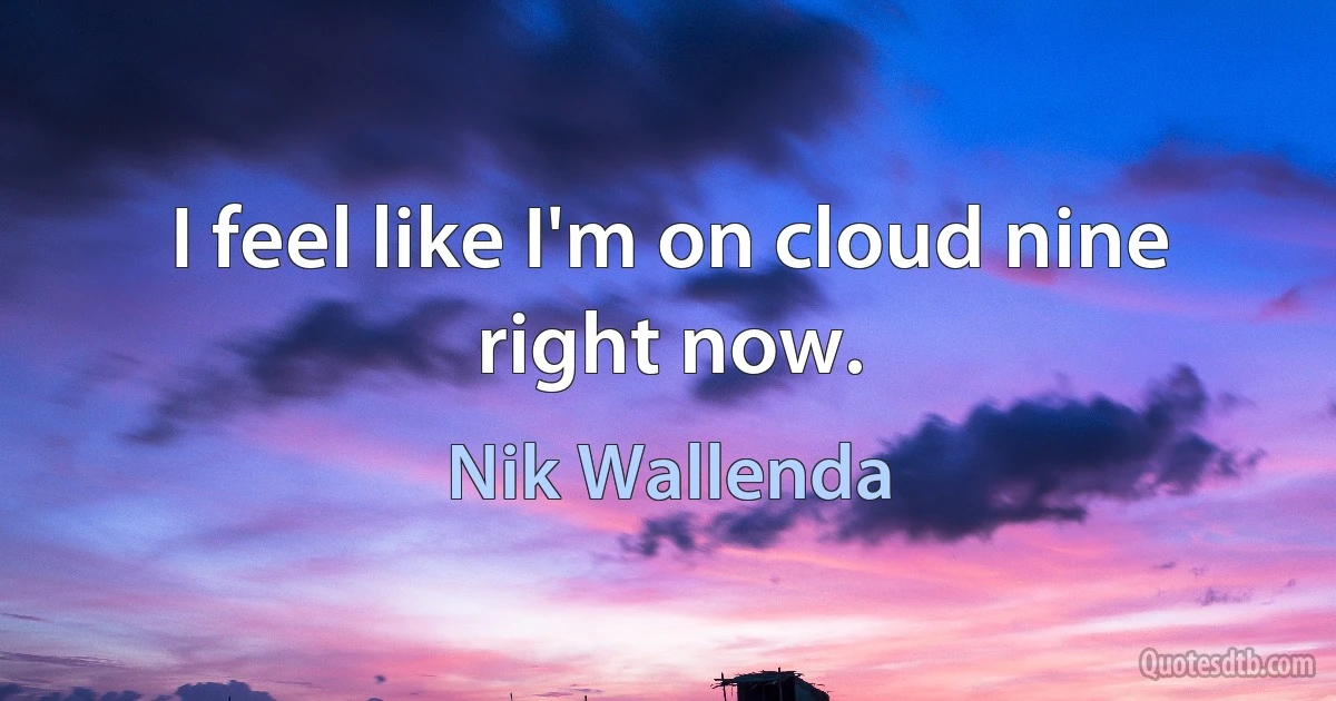 I feel like I'm on cloud nine right now. (Nik Wallenda)