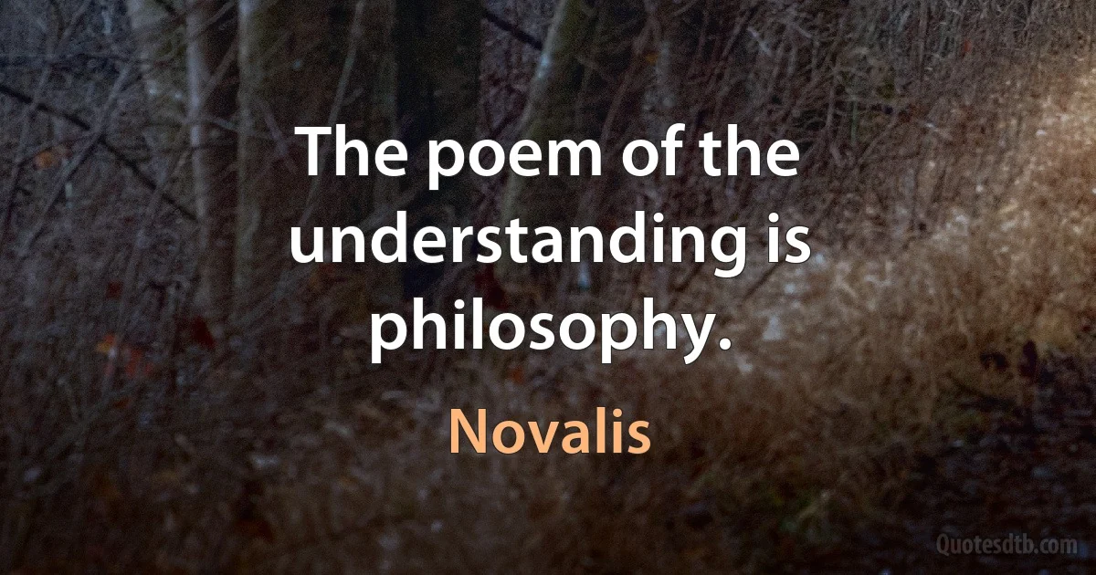 The poem of the understanding is philosophy. (Novalis)