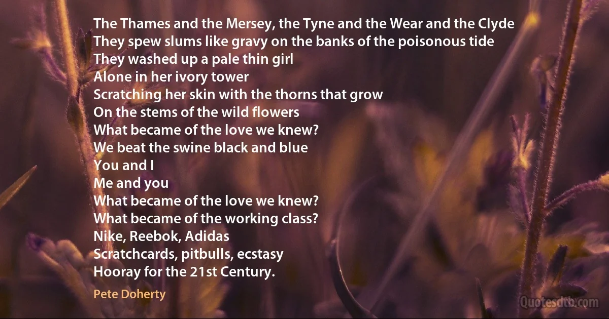 The Thames and the Mersey, the Tyne and the Wear and the Clyde
They spew slums like gravy on the banks of the poisonous tide
They washed up a pale thin girl
Alone in her ivory tower
Scratching her skin with the thorns that grow
On the stems of the wild flowers
What became of the love we knew?
We beat the swine black and blue
You and I
Me and you
What became of the love we knew?
What became of the working class?
Nike, Reebok, Adidas
Scratchcards, pitbulls, ecstasy
Hooray for the 21st Century. (Pete Doherty)