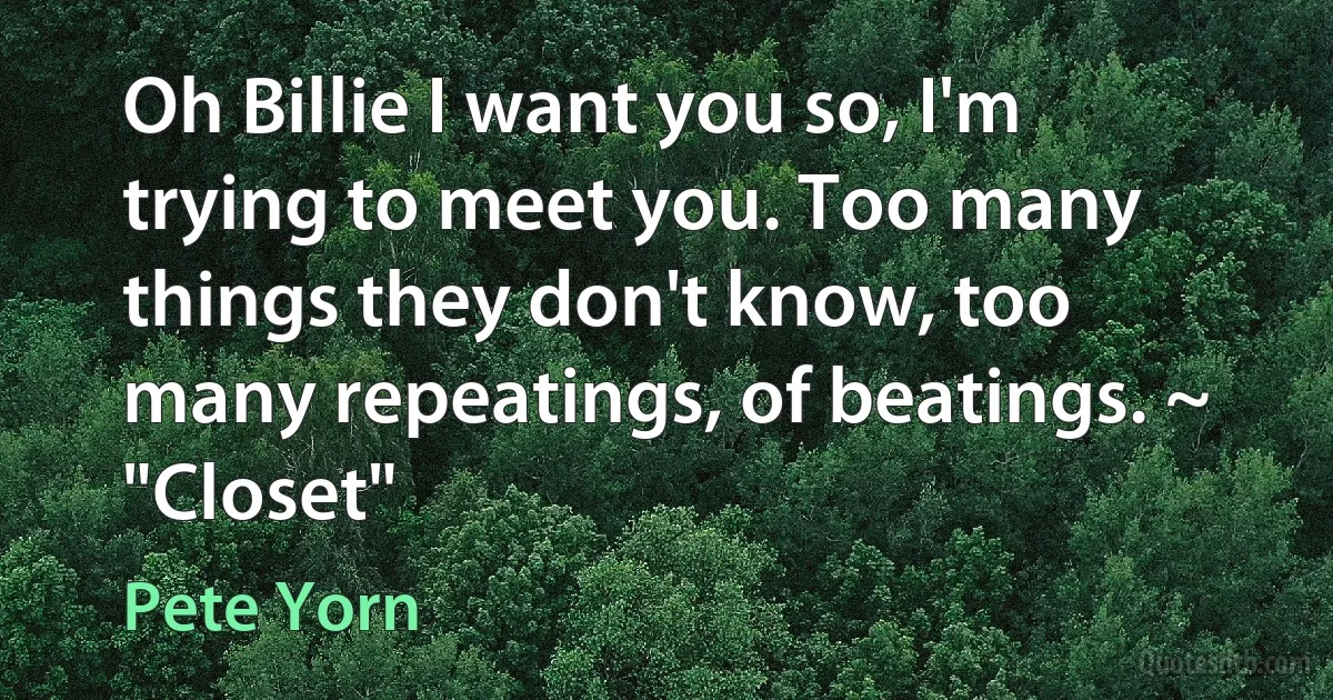 Oh Billie I want you so, I'm trying to meet you. Too many things they don't know, too many repeatings, of beatings. ~ "Closet" (Pete Yorn)