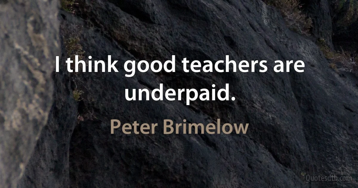 I think good teachers are underpaid. (Peter Brimelow)