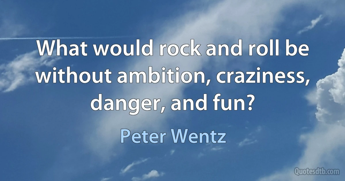 What would rock and roll be without ambition, craziness, danger, and fun? (Peter Wentz)