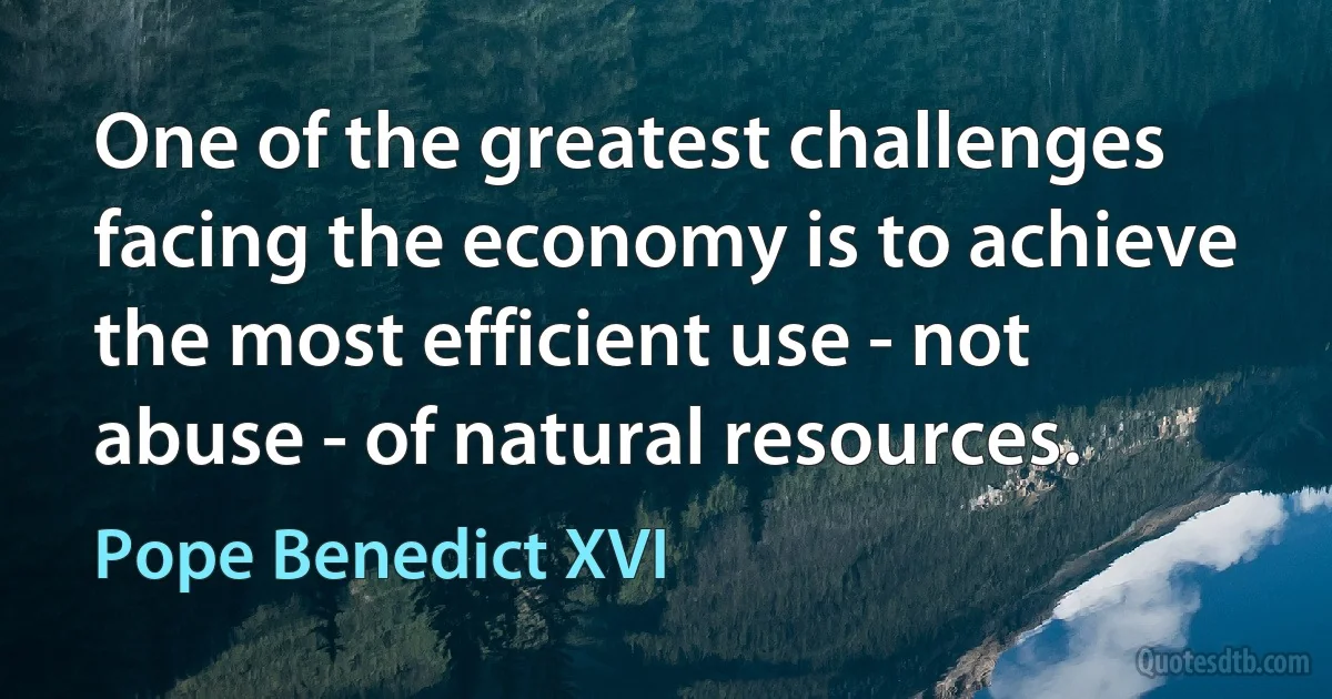 One of the greatest challenges facing the economy is to achieve the most efficient use - not abuse - of natural resources. (Pope Benedict XVI)