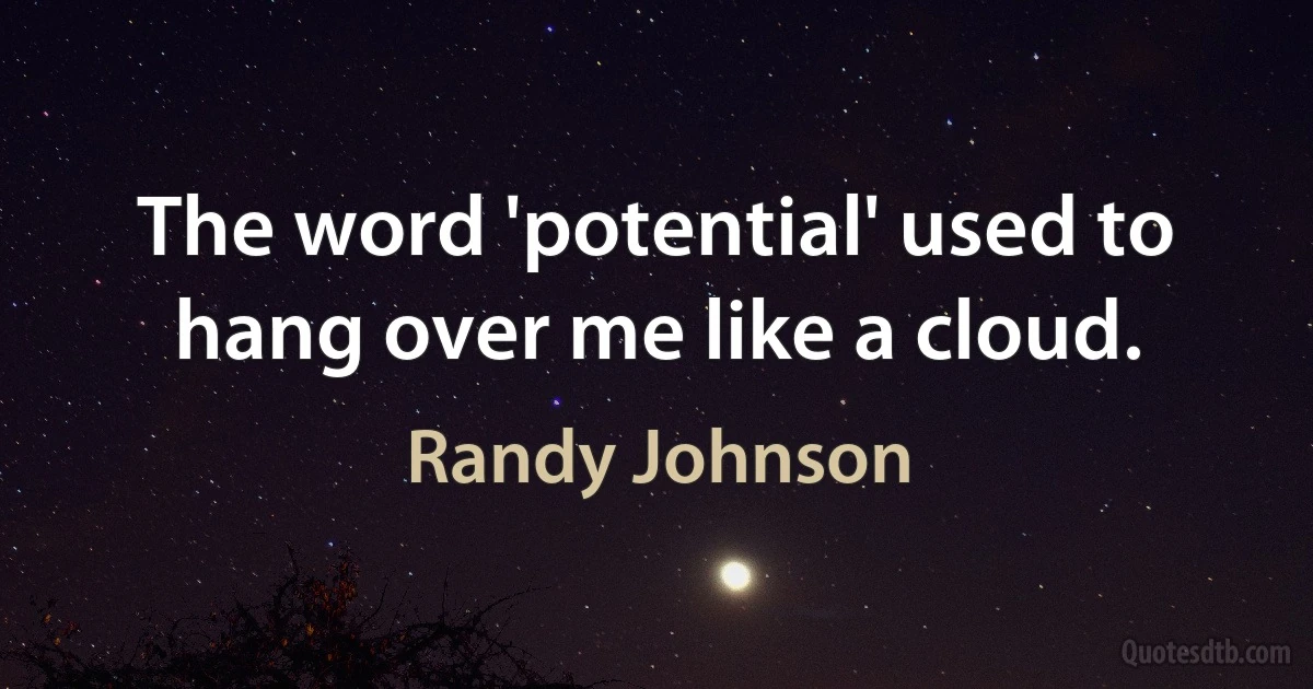 The word 'potential' used to hang over me like a cloud. (Randy Johnson)