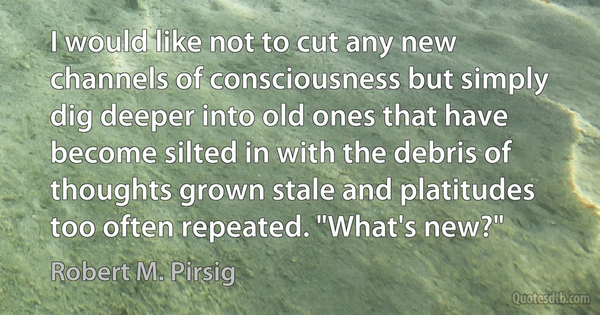 I would like not to cut any new channels of consciousness but simply dig deeper into old ones that have become silted in with the debris of thoughts grown stale and platitudes too often repeated. "What's new?" (Robert M. Pirsig)