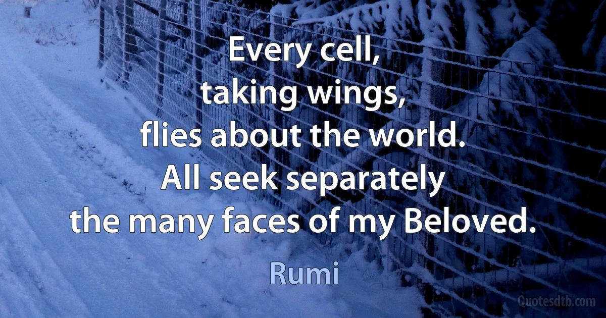 Every cell,
taking wings,
flies about the world.
All seek separately
the many faces of my Beloved. (Rumi)