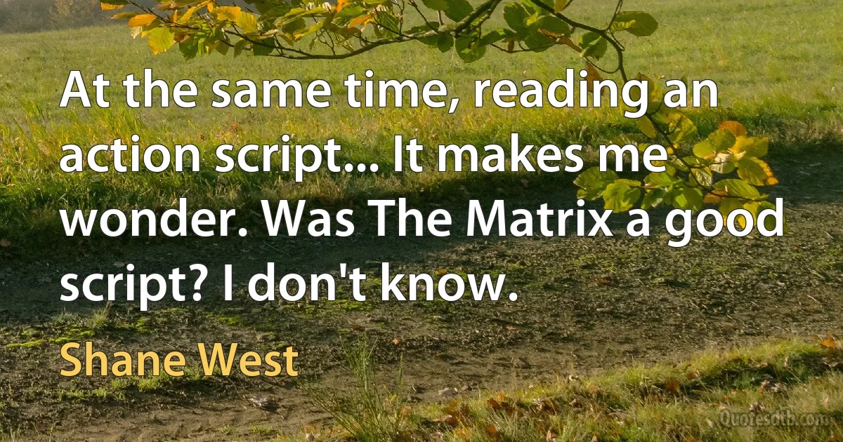 At the same time, reading an action script... It makes me wonder. Was The Matrix a good script? I don't know. (Shane West)