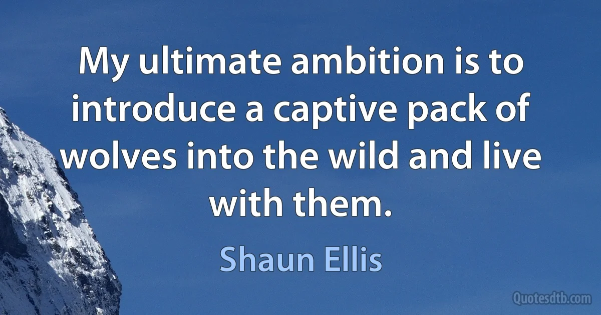 My ultimate ambition is to introduce a captive pack of wolves into the wild and live with them. (Shaun Ellis)