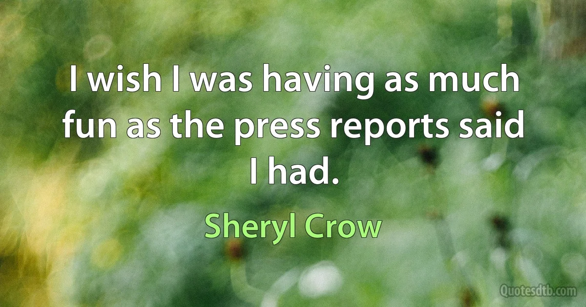 I wish I was having as much fun as the press reports said I had. (Sheryl Crow)