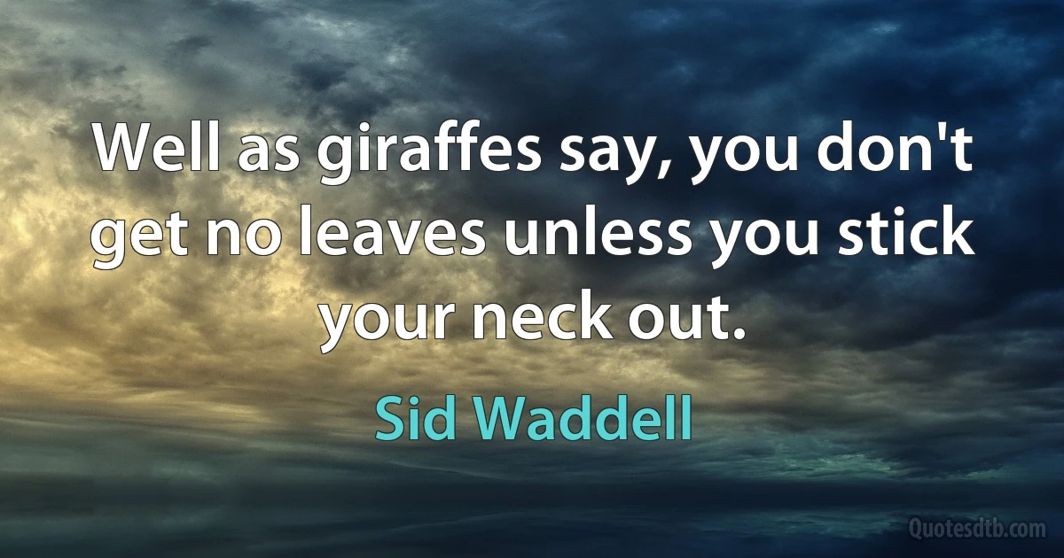 Well as giraffes say, you don't get no leaves unless you stick your neck out. (Sid Waddell)