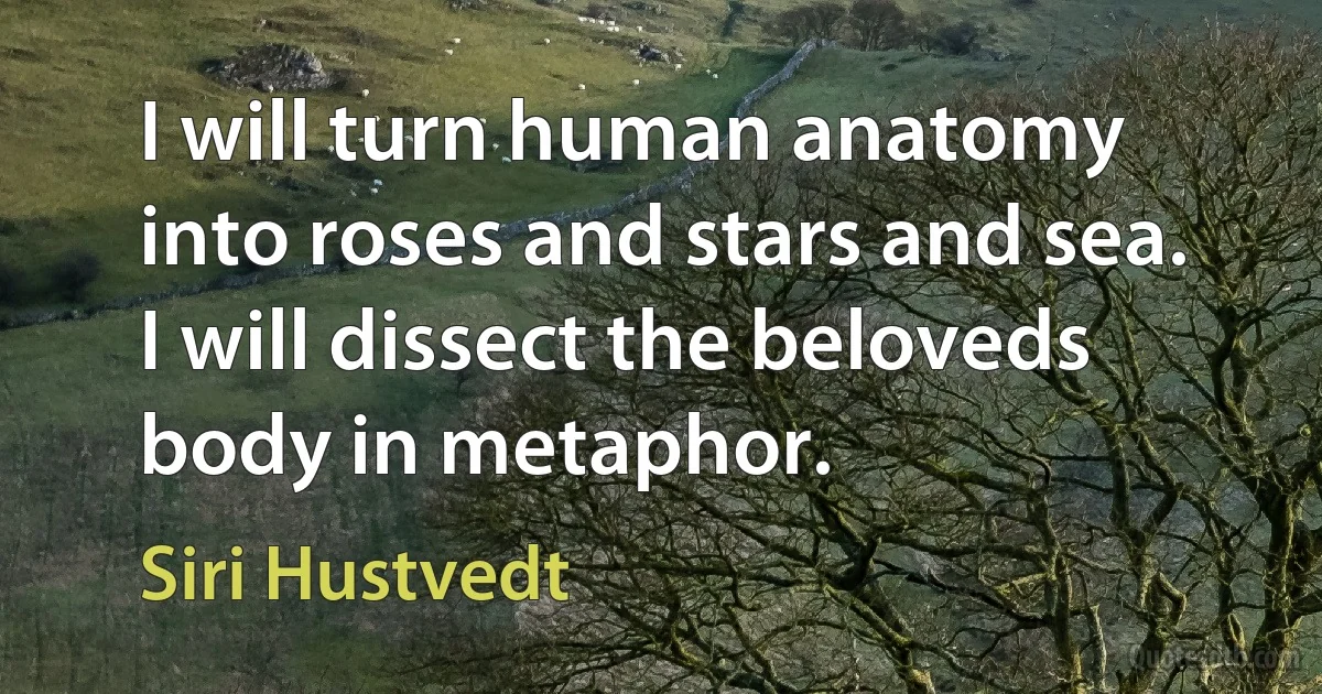 I will turn human anatomy into roses and stars and sea. I will dissect the beloveds body in metaphor. (Siri Hustvedt)