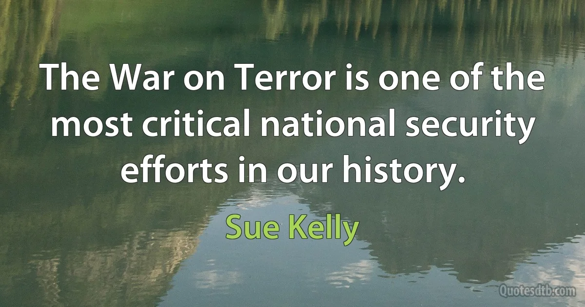 The War on Terror is one of the most critical national security efforts in our history. (Sue Kelly)