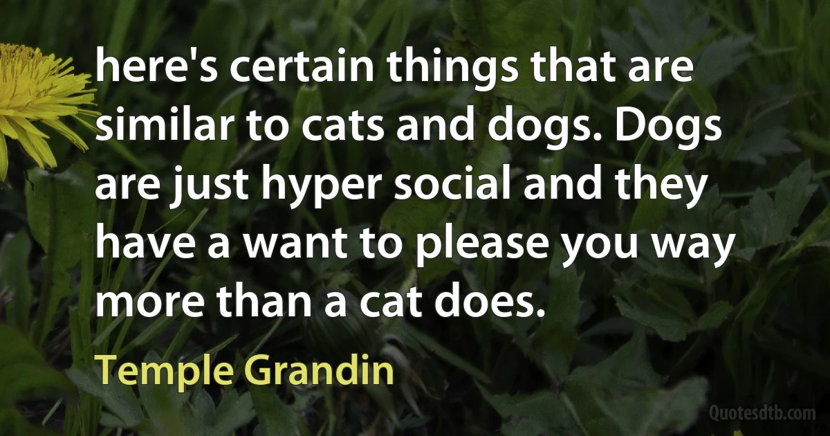 here's certain things that are similar to cats and dogs. Dogs are just hyper social and they have a want to please you way more than a cat does. (Temple Grandin)