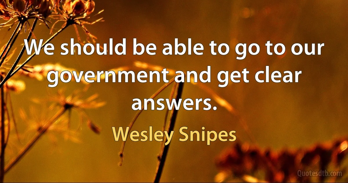 We should be able to go to our government and get clear answers. (Wesley Snipes)