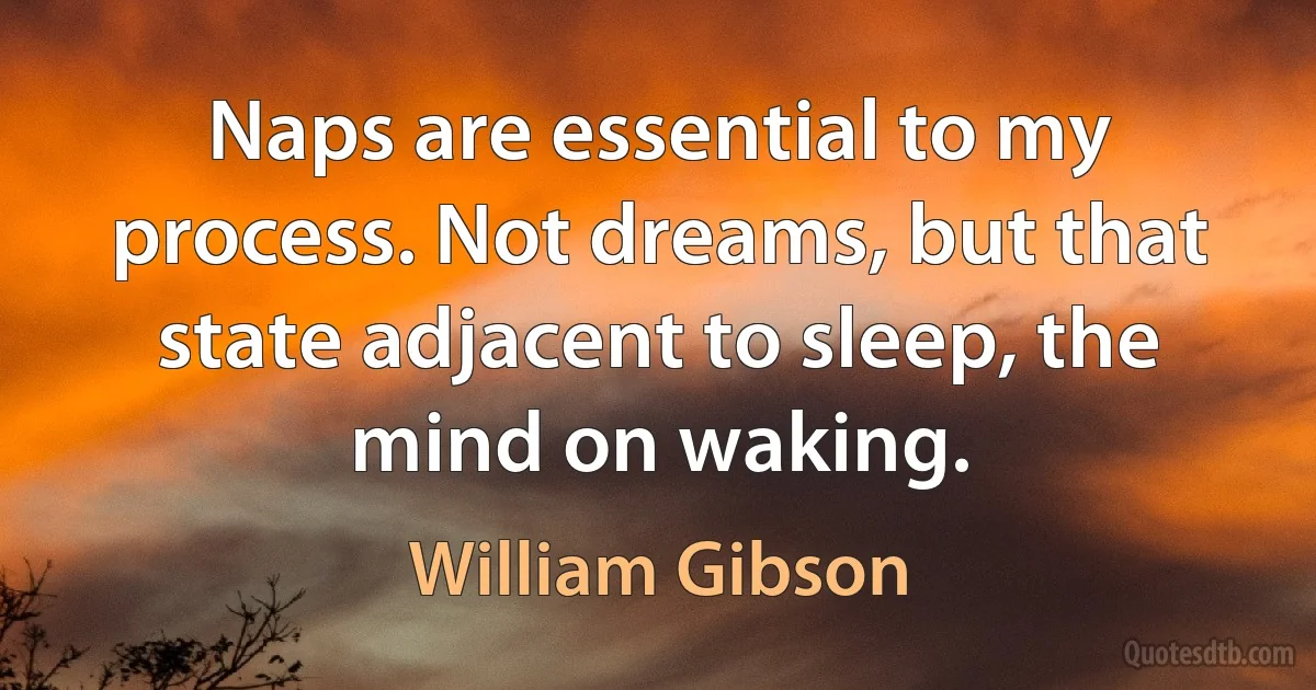 Naps are essential to my process. Not dreams, but that state adjacent to sleep, the mind on waking. (William Gibson)