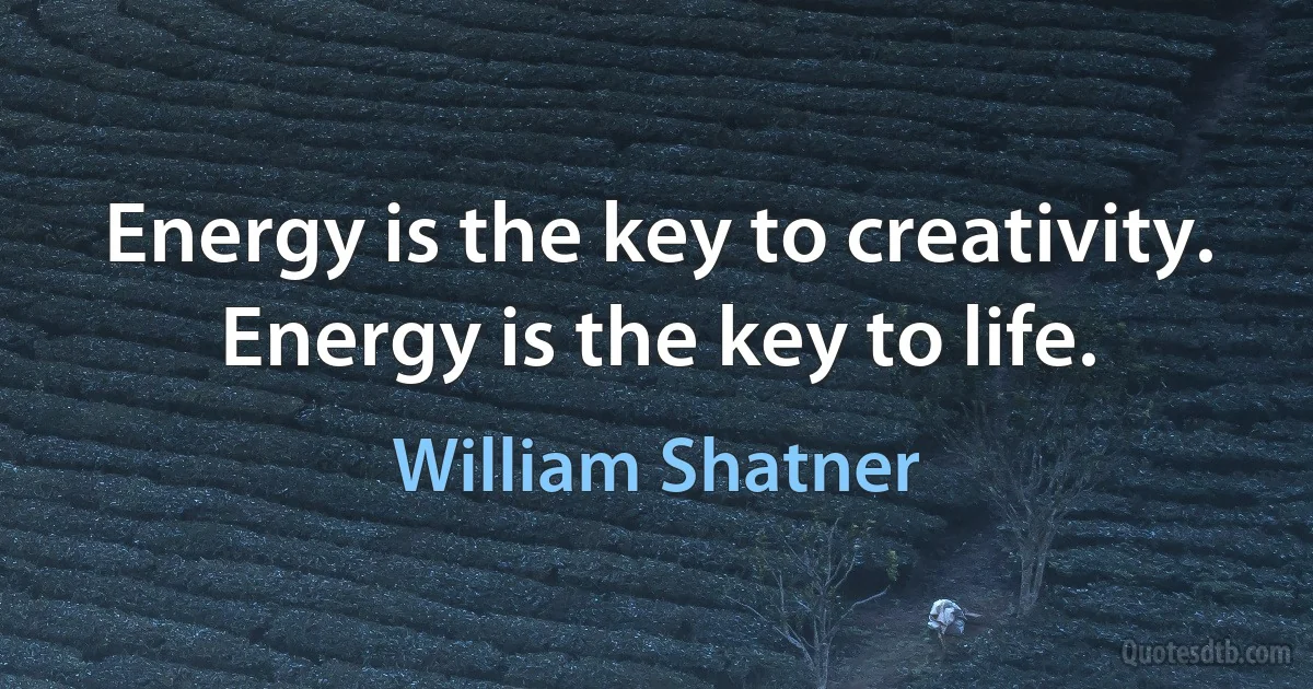 Energy is the key to creativity. Energy is the key to life. (William Shatner)