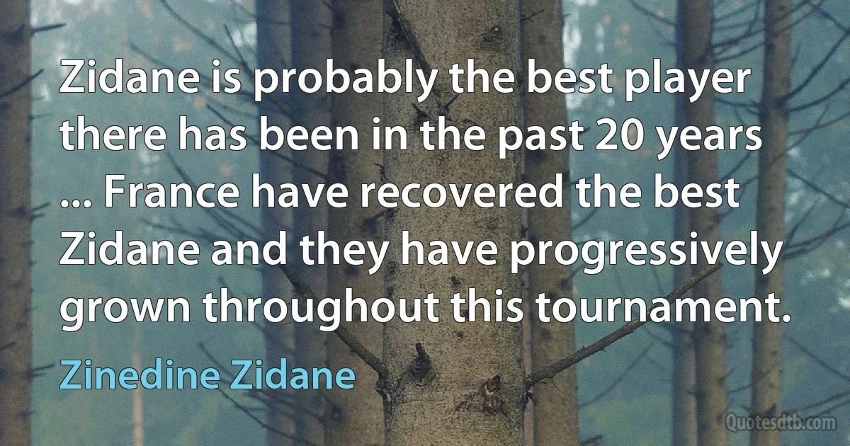 Zidane is probably the best player there has been in the past 20 years ... France have recovered the best Zidane and they have progressively grown throughout this tournament. (Zinedine Zidane)