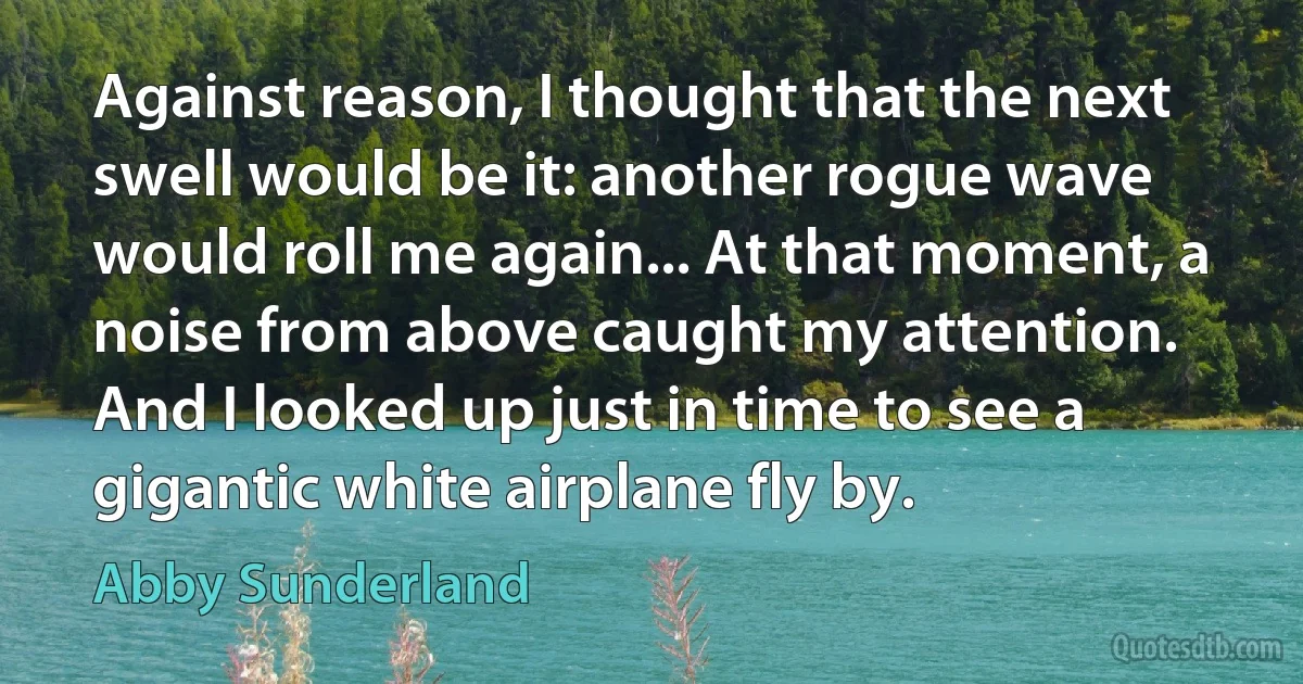 Against reason, I thought that the next swell would be it: another rogue wave would roll me again... At that moment, a noise from above caught my attention. And I looked up just in time to see a gigantic white airplane fly by. (Abby Sunderland)