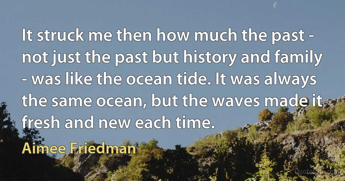 It struck me then how much the past - not just the past but history and family - was like the ocean tide. It was always the same ocean, but the waves made it fresh and new each time. (Aimee Friedman)