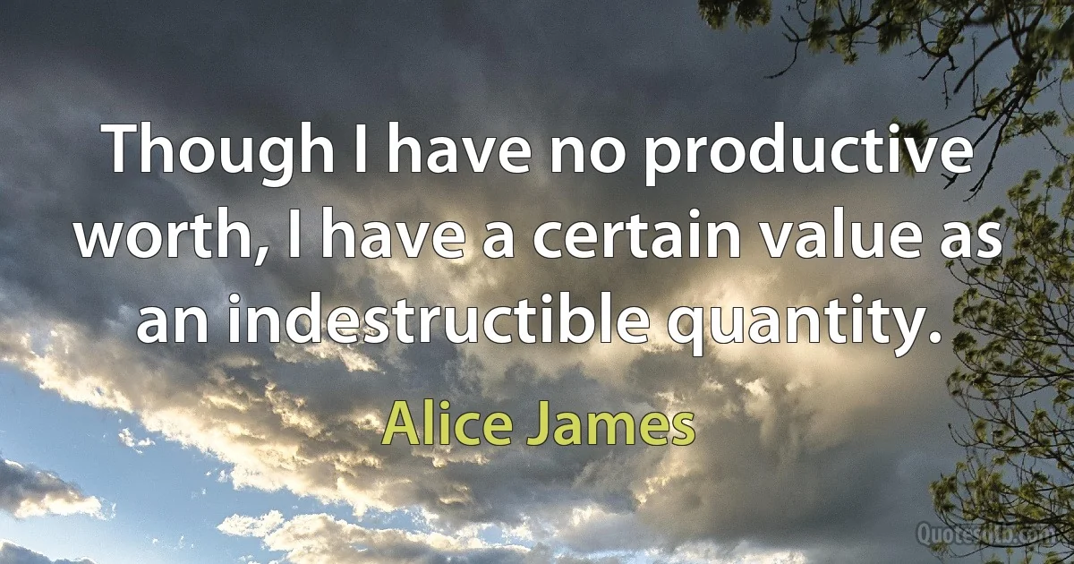 Though I have no productive worth, I have a certain value as an indestructible quantity. (Alice James)