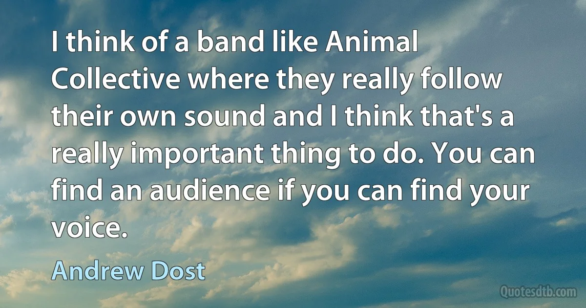 I think of a band like Animal Collective where they really follow their own sound and I think that's a really important thing to do. You can find an audience if you can find your voice. (Andrew Dost)