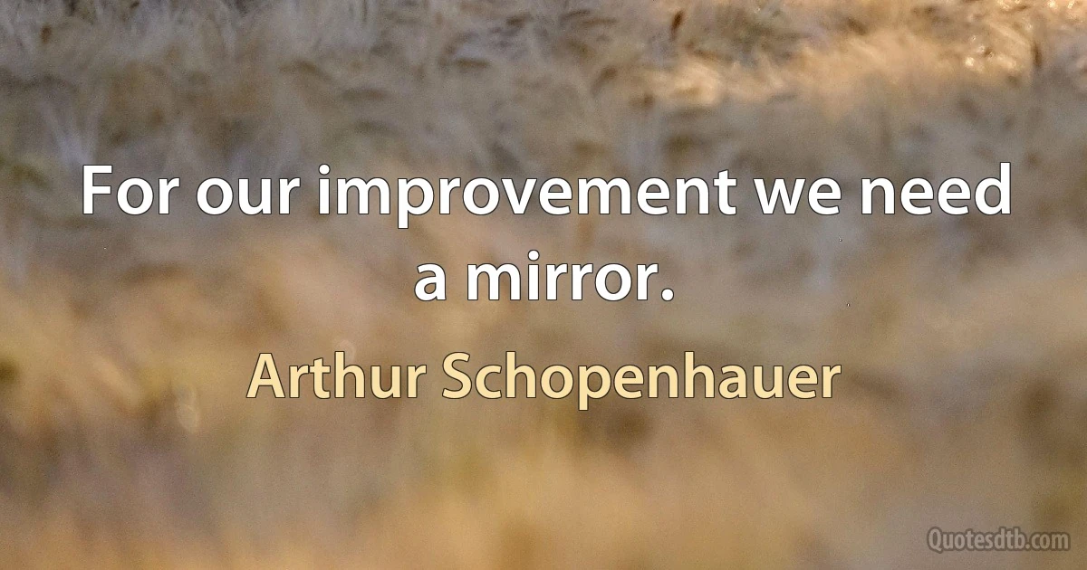 For our improvement we need a mirror. (Arthur Schopenhauer)