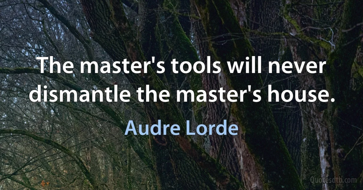 The master's tools will never dismantle the master's house. (Audre Lorde)