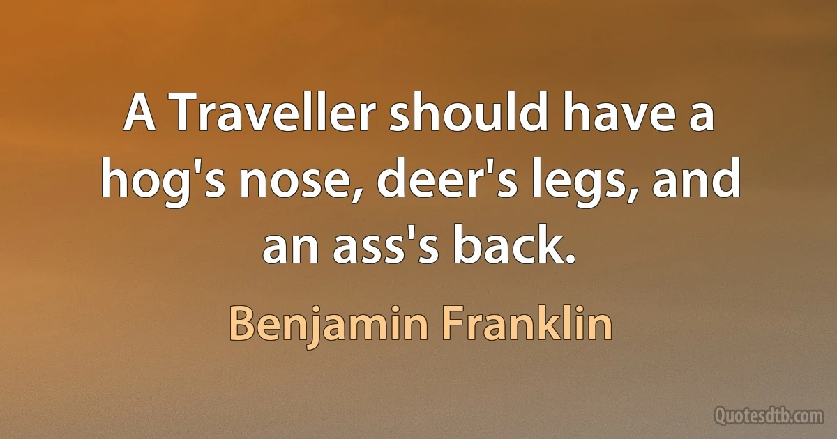 A Traveller should have a hog's nose, deer's legs, and an ass's back. (Benjamin Franklin)