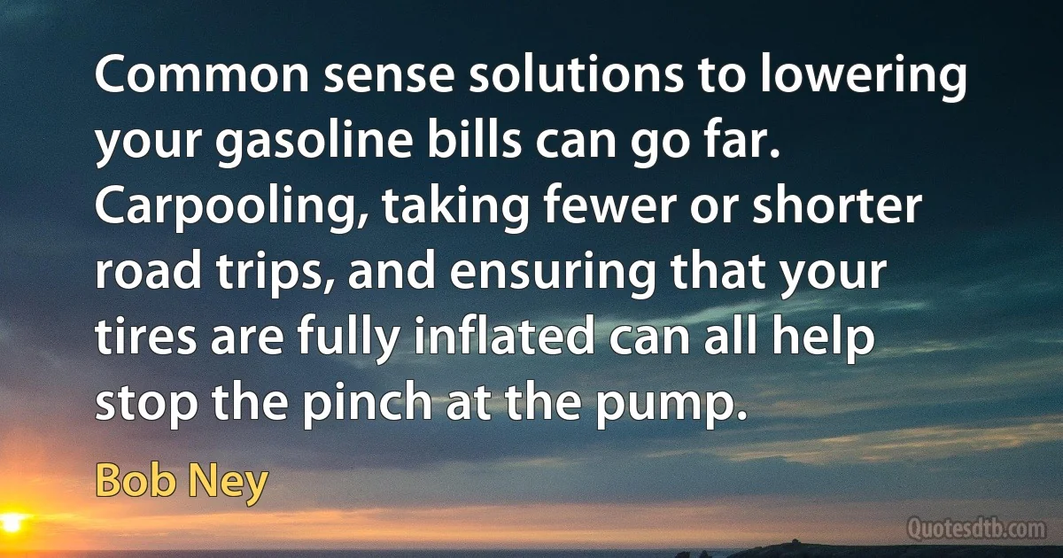 Common sense solutions to lowering your gasoline bills can go far. Carpooling, taking fewer or shorter road trips, and ensuring that your tires are fully inflated can all help stop the pinch at the pump. (Bob Ney)