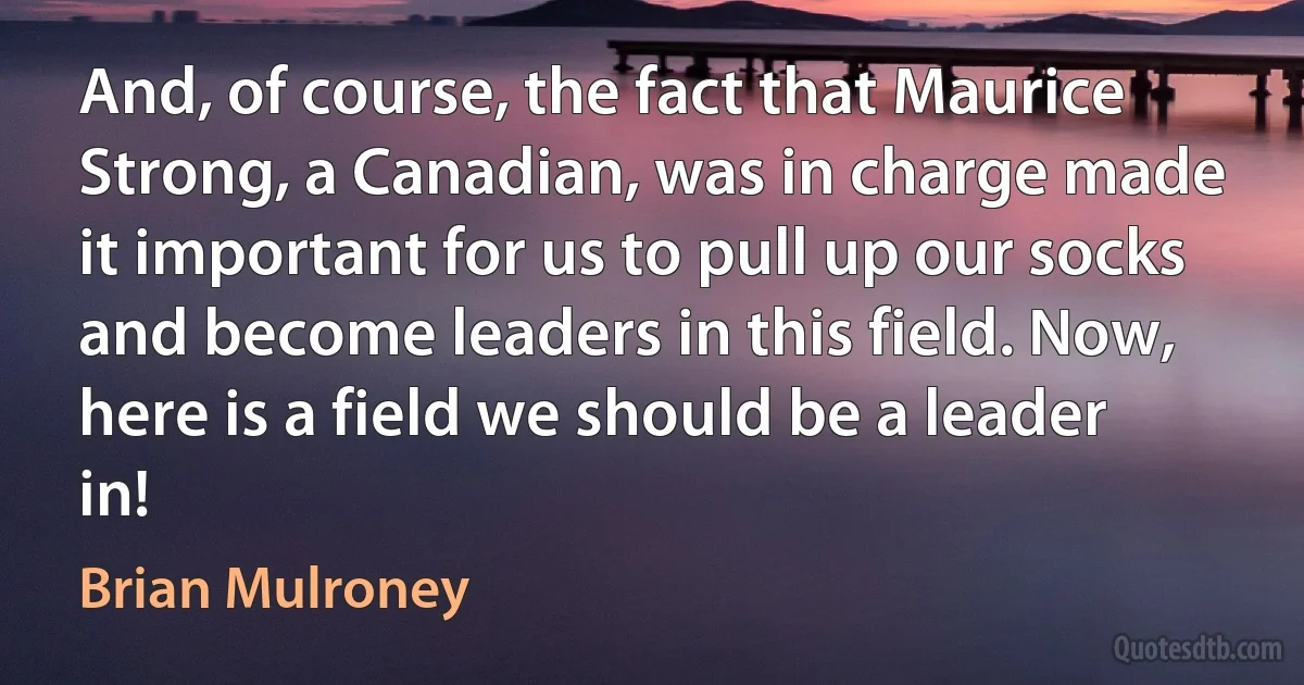 And, of course, the fact that Maurice Strong, a Canadian, was in charge made it important for us to pull up our socks and become leaders in this field. Now, here is a field we should be a leader in! (Brian Mulroney)