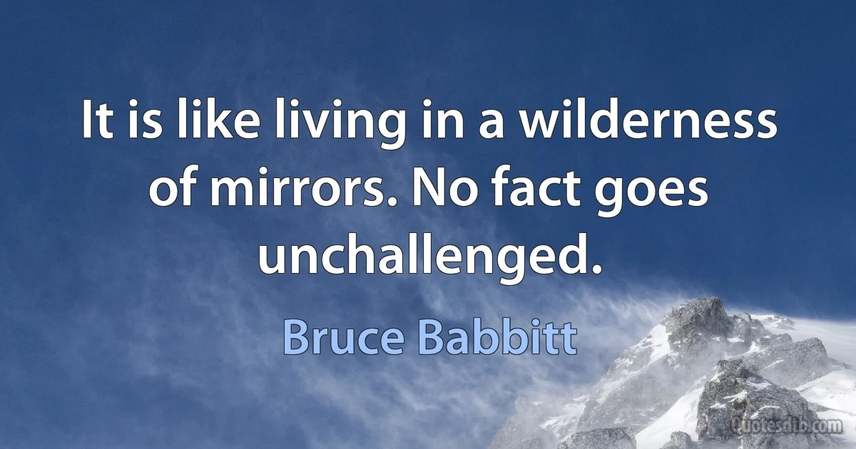 It is like living in a wilderness of mirrors. No fact goes unchallenged. (Bruce Babbitt)