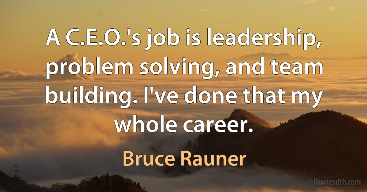 A C.E.O.'s job is leadership, problem solving, and team building. I've done that my whole career. (Bruce Rauner)