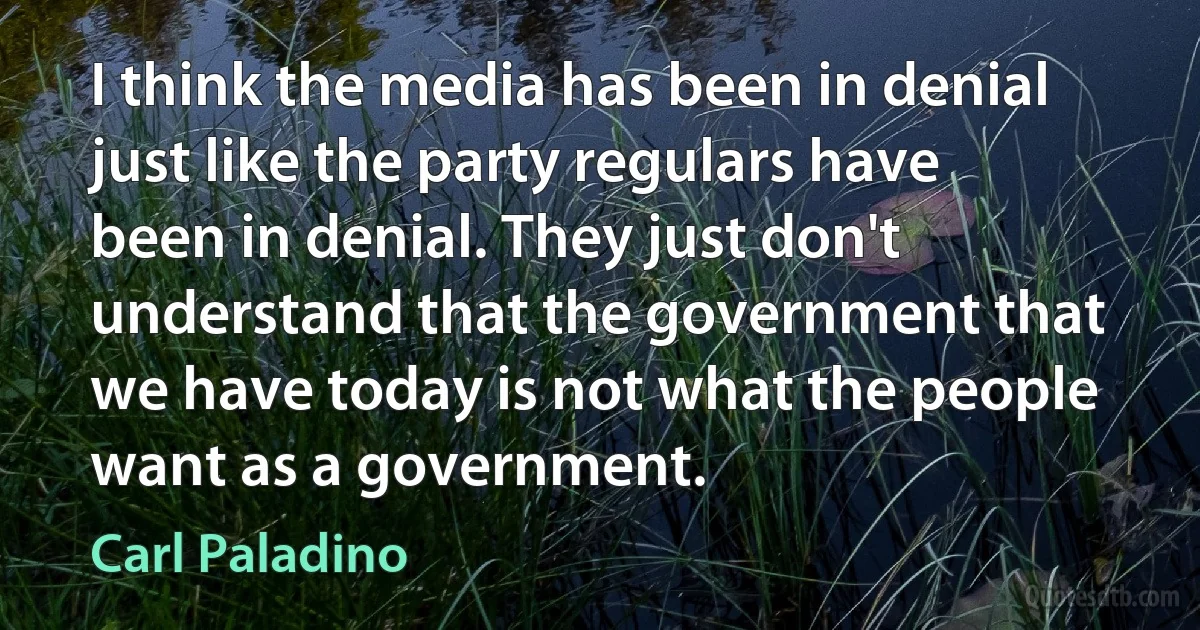 I think the media has been in denial just like the party regulars have been in denial. They just don't understand that the government that we have today is not what the people want as a government. (Carl Paladino)