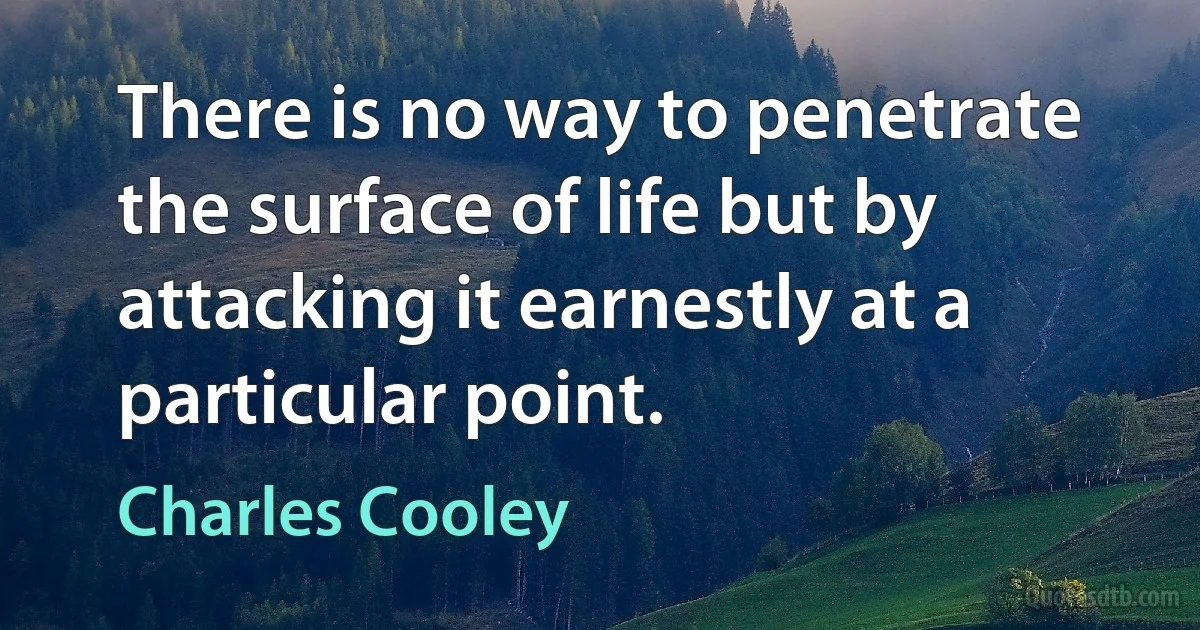 There is no way to penetrate the surface of life but by attacking it earnestly at a particular point. (Charles Cooley)