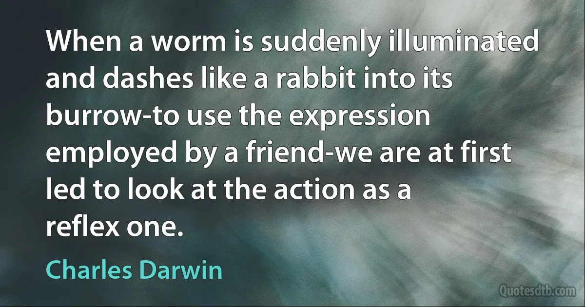 When a worm is suddenly illuminated and dashes like a rabbit into its burrow-to use the expression employed by a friend-we are at first led to look at the action as a reflex one. (Charles Darwin)