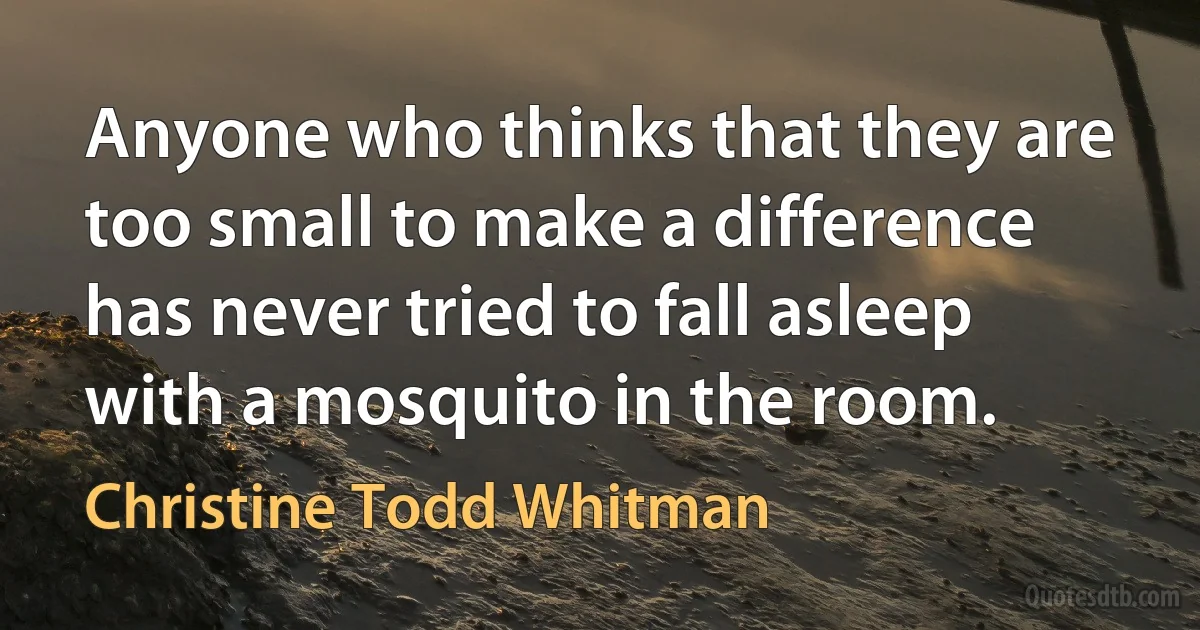 Anyone who thinks that they are too small to make a difference has never tried to fall asleep with a mosquito in the room. (Christine Todd Whitman)