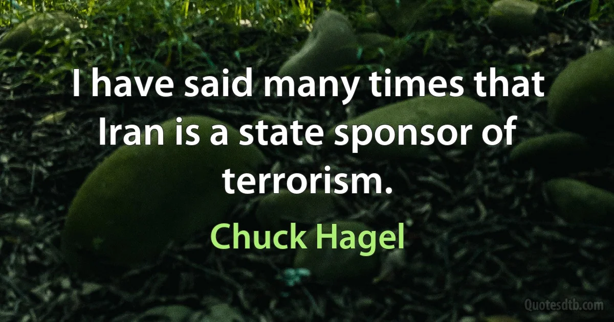 I have said many times that Iran is a state sponsor of terrorism. (Chuck Hagel)