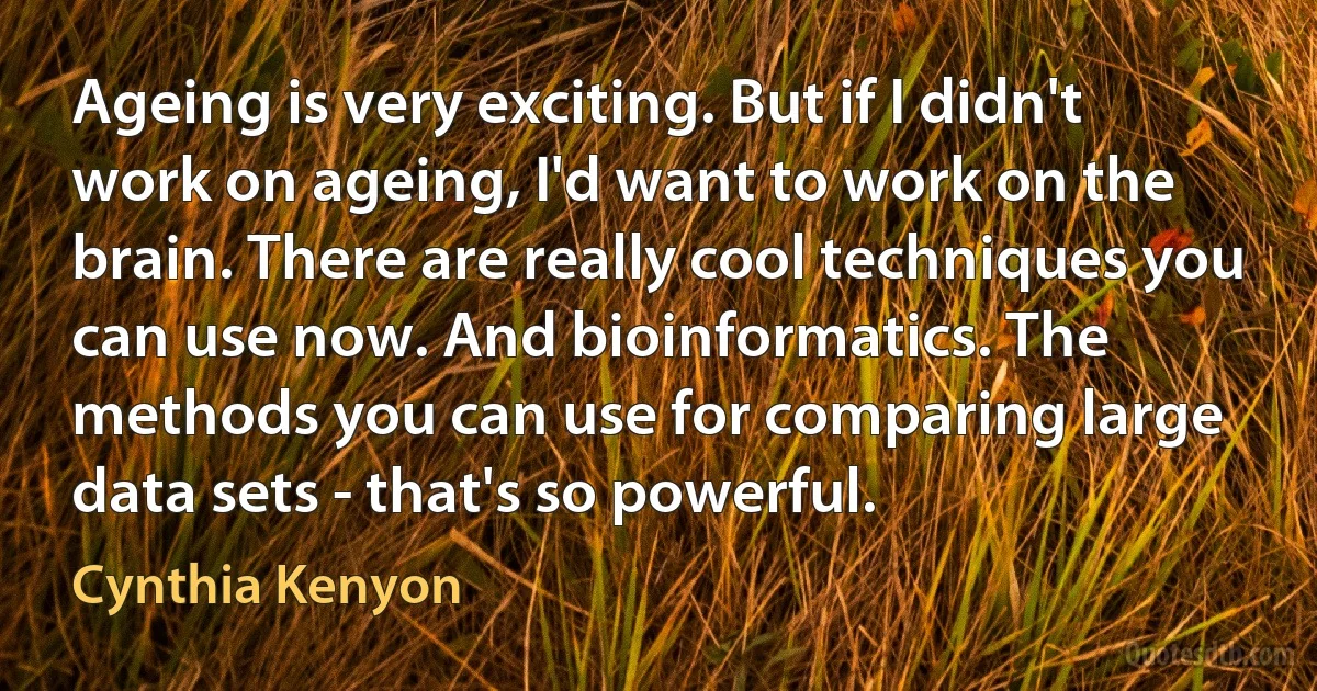 Ageing is very exciting. But if I didn't work on ageing, I'd want to work on the brain. There are really cool techniques you can use now. And bioinformatics. The methods you can use for comparing large data sets - that's so powerful. (Cynthia Kenyon)