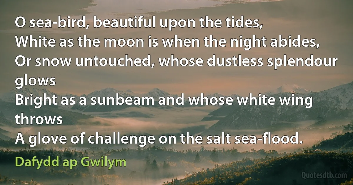 O sea-bird, beautiful upon the tides,
White as the moon is when the night abides,
Or snow untouched, whose dustless splendour glows
Bright as a sunbeam and whose white wing throws
A glove of challenge on the salt sea-flood. (Dafydd ap Gwilym)