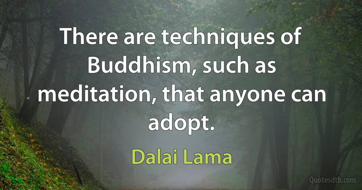 There are techniques of Buddhism, such as meditation, that anyone can adopt. (Dalai Lama)