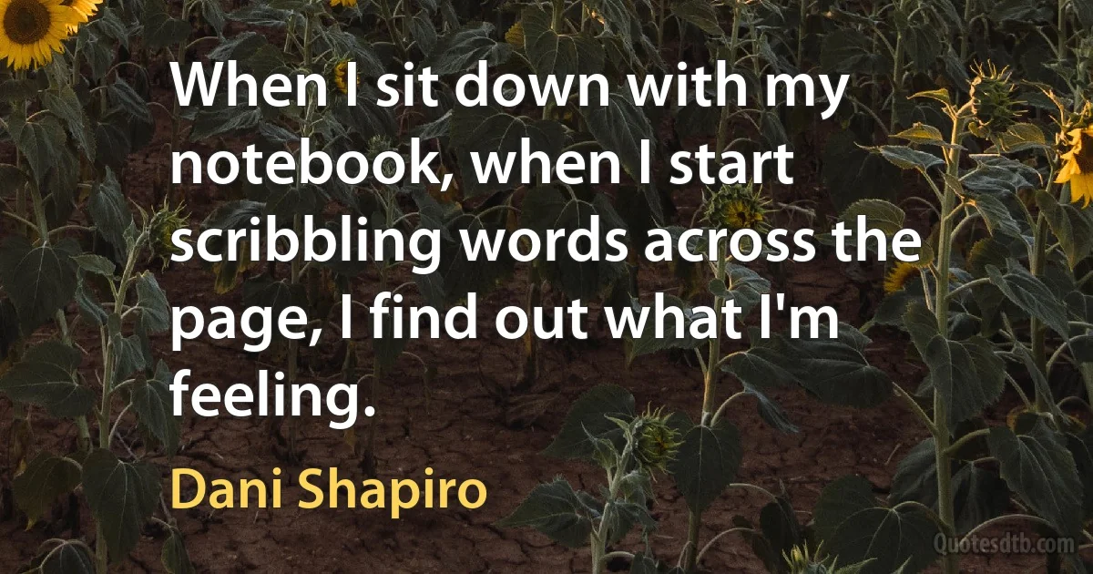 When I sit down with my notebook, when I start scribbling words across the page, I find out what I'm feeling. (Dani Shapiro)