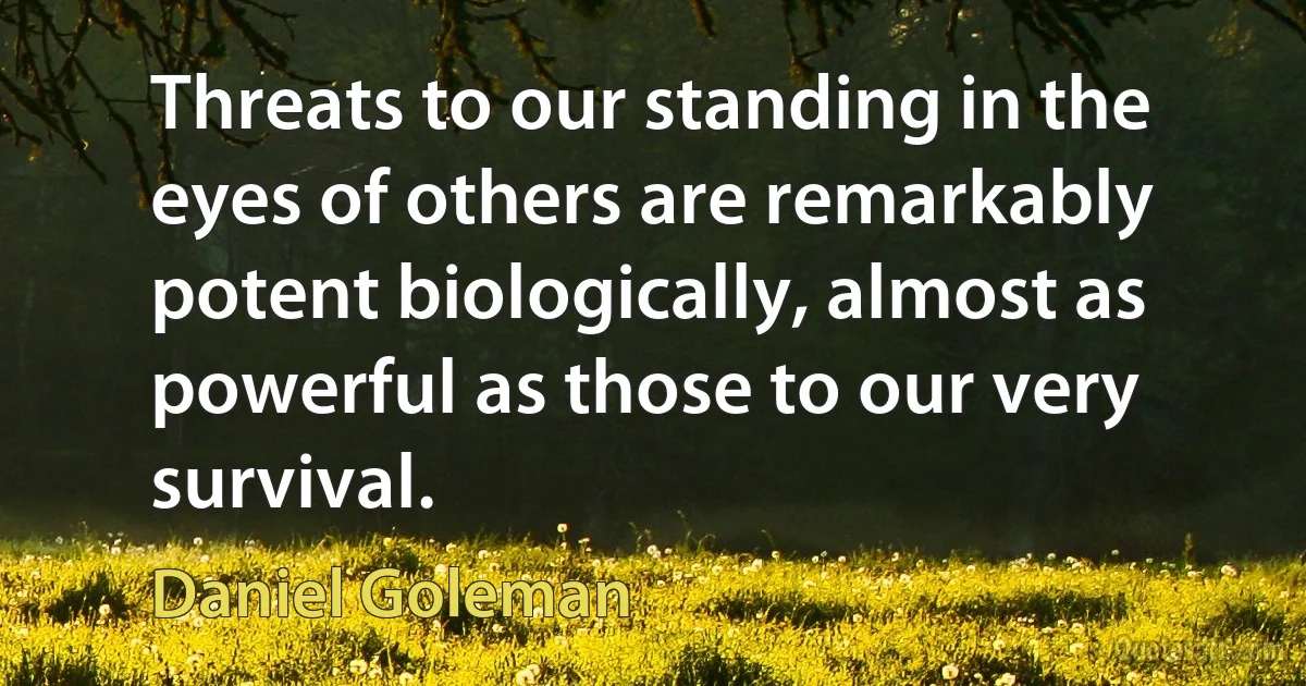 Threats to our standing in the eyes of others are remarkably potent biologically, almost as powerful as those to our very survival. (Daniel Goleman)