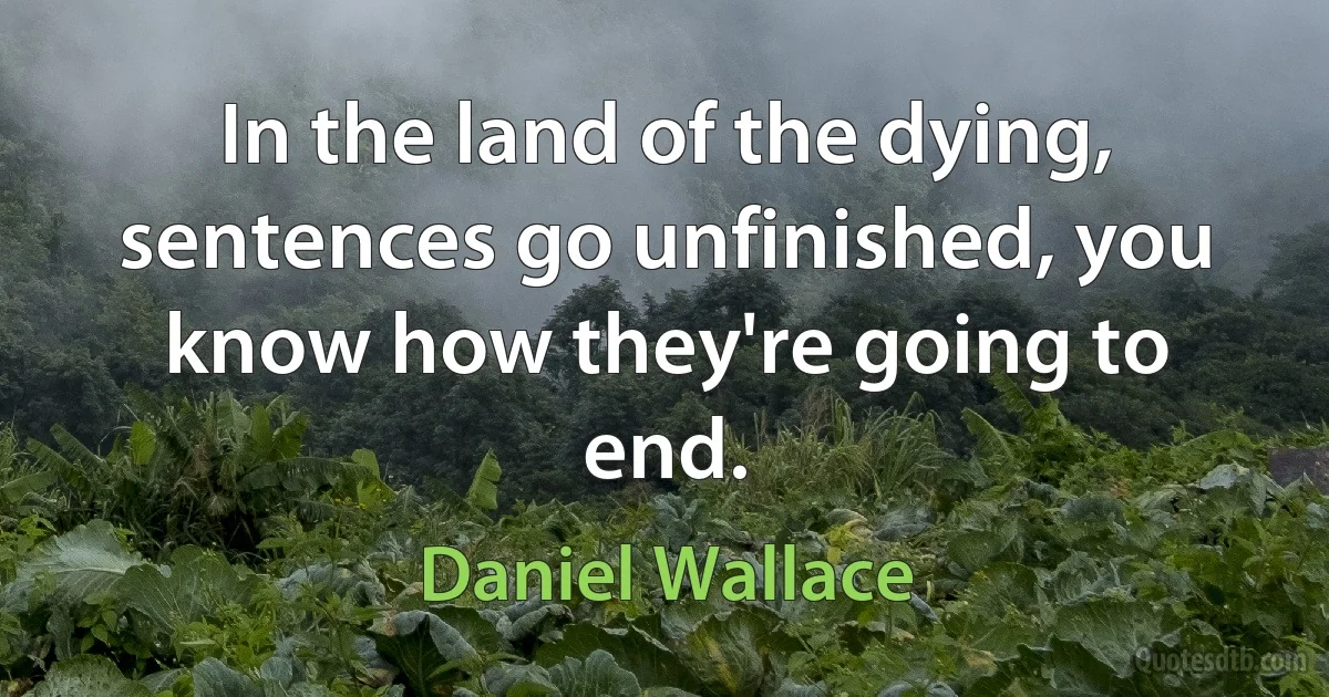 In the land of the dying, sentences go unfinished, you know how they're going to end. (Daniel Wallace)