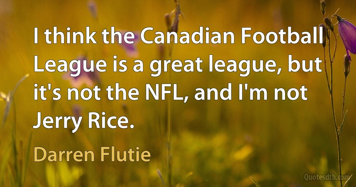 I think the Canadian Football League is a great league, but it's not the NFL, and I'm not Jerry Rice. (Darren Flutie)