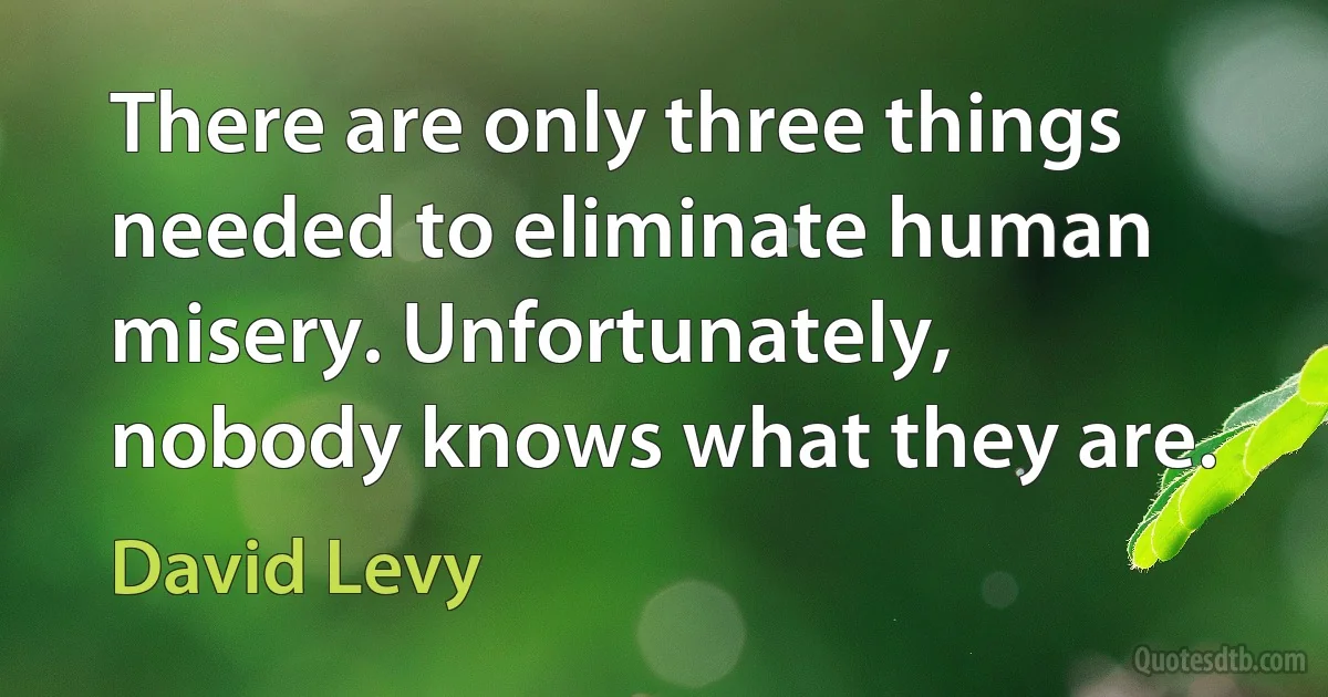 There are only three things needed to eliminate human misery. Unfortunately, nobody knows what they are. (David Levy)