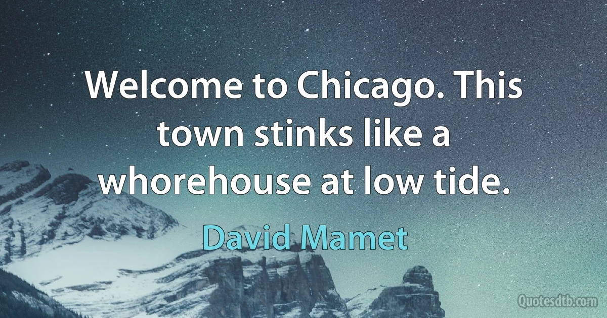 Welcome to Chicago. This town stinks like a whorehouse at low tide. (David Mamet)