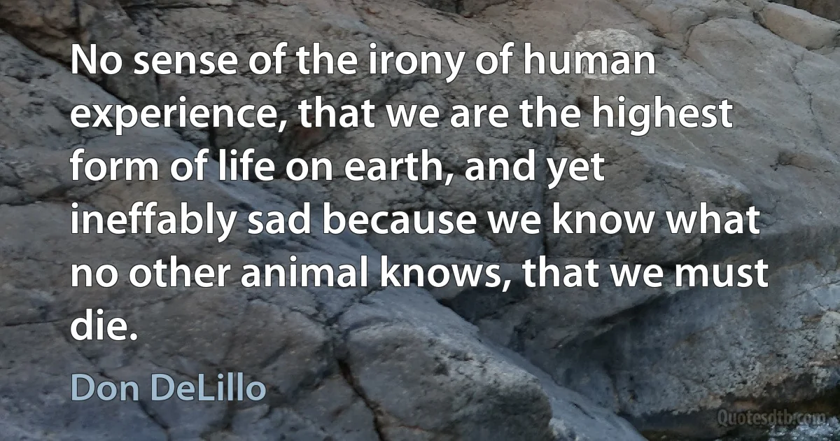 No sense of the irony of human experience, that we are the highest form of life on earth, and yet ineffably sad because we know what no other animal knows, that we must die. (Don DeLillo)